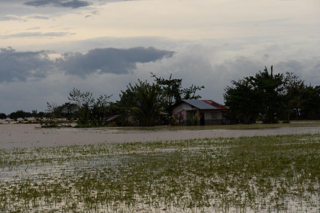 Farmers Lose Debt Gamble in Typhoon-Plagued Philippines