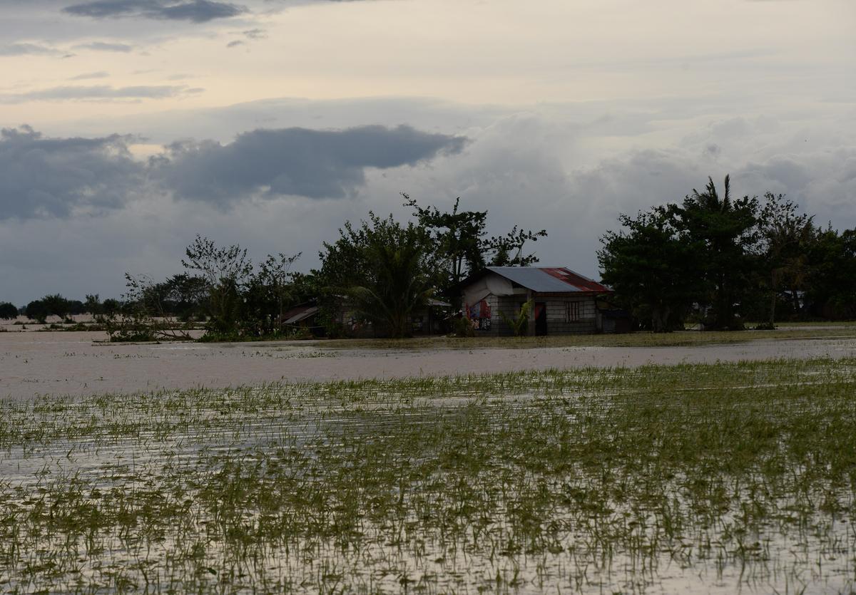 Farmers Lose Debt Gamble in Typhoon-Plagued Philippines