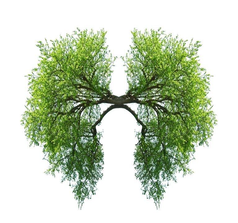 Secrets of Korean Medicine Part 2: A Simple Survival Strategy for Mankind in the Era of Viruses