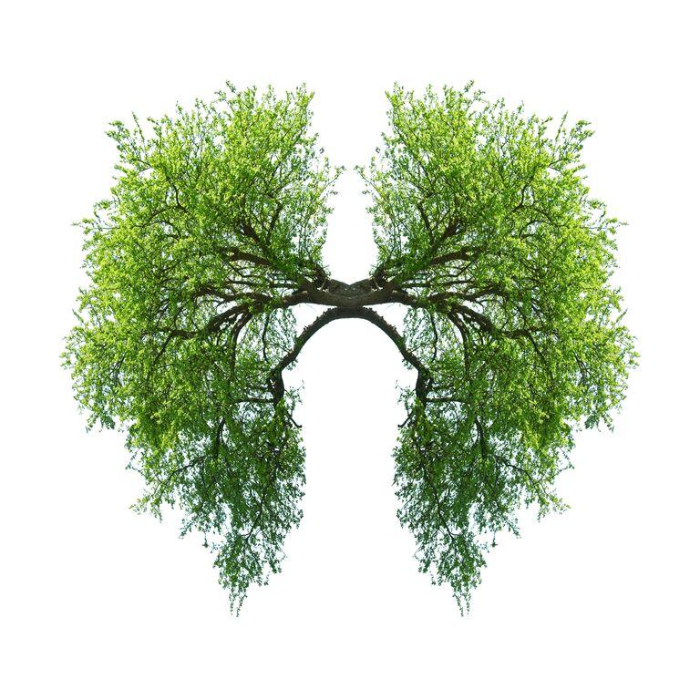 Secrets of Korean Medicine Part 2: A Simple Survival Strategy for Mankind in the Era of Viruses