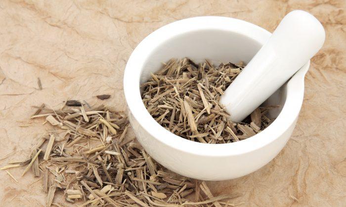 Siberian Ginseng for Energy and Endurance