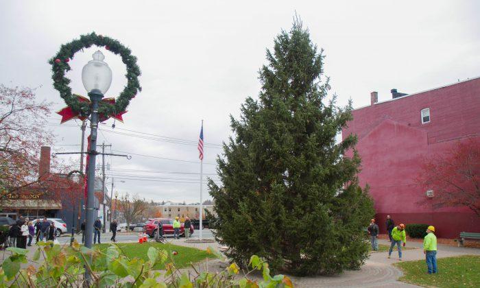 Holiday Tree Arrives in Middletown (+ video)