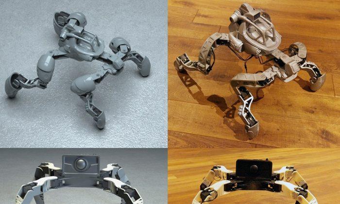 Tool Lets Beginners Design and Print Walking Robots