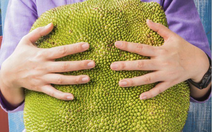 Jackfruit, the Delicious Meat Substitute