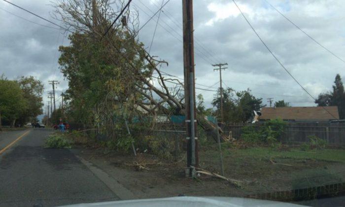 California: Tornado Hits Town of Denair, Causes Damage - Photos, Video