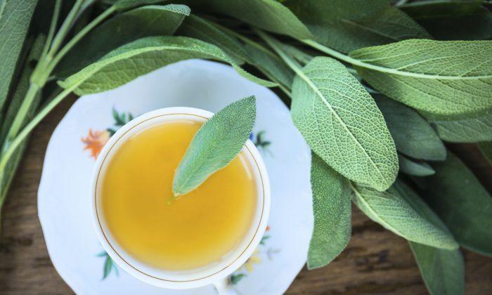 Use Sage for Headaches, Indigestion, Sore Throats, and More