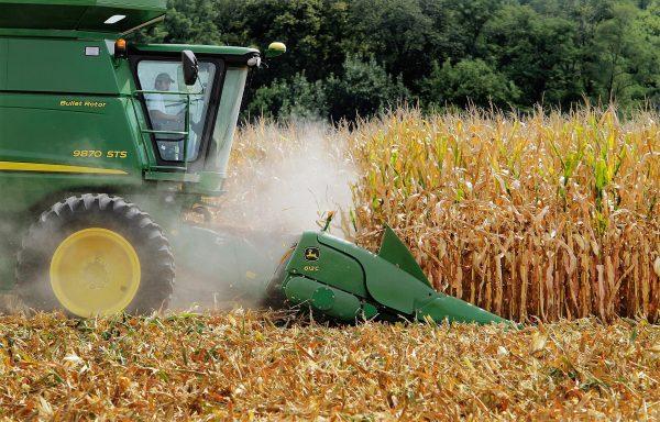 Combine harvesting corn on Aug. 30, 2011. (Seth Perlman/AP Photo)