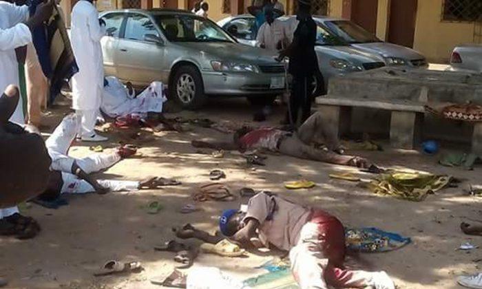 Suicide Attacks in Nigeria, Cameroon Kill 12 Plus 5 Bombers