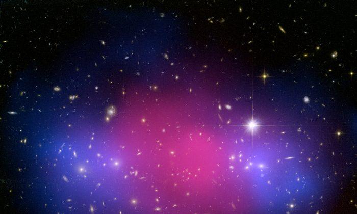 Tons of Dark Matter Hide in Nearby Dwarf Galaxy