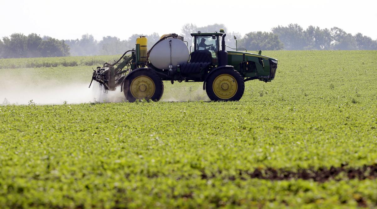 Blake Beckett of West Central Cooperative sprays a soybean field, in Granger, Iowa on July 11, 2013. (AP Photo/Charlie Neibergall, File)