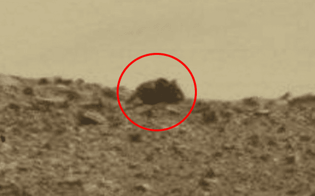 NASA Rover Captured A ‘Mouse’ on Mars, UFO Enthusiasts Claim