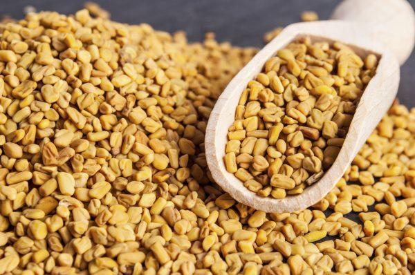 Fenugreek seeds have maple-like flavor that is used in culinary and healing traditions from across the globe. (Ezergil/iStock