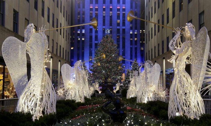80-foot Norway Spruce Gets Nod as Rockefeller Center Christmas Tree, Will Be Cut Down Next Week