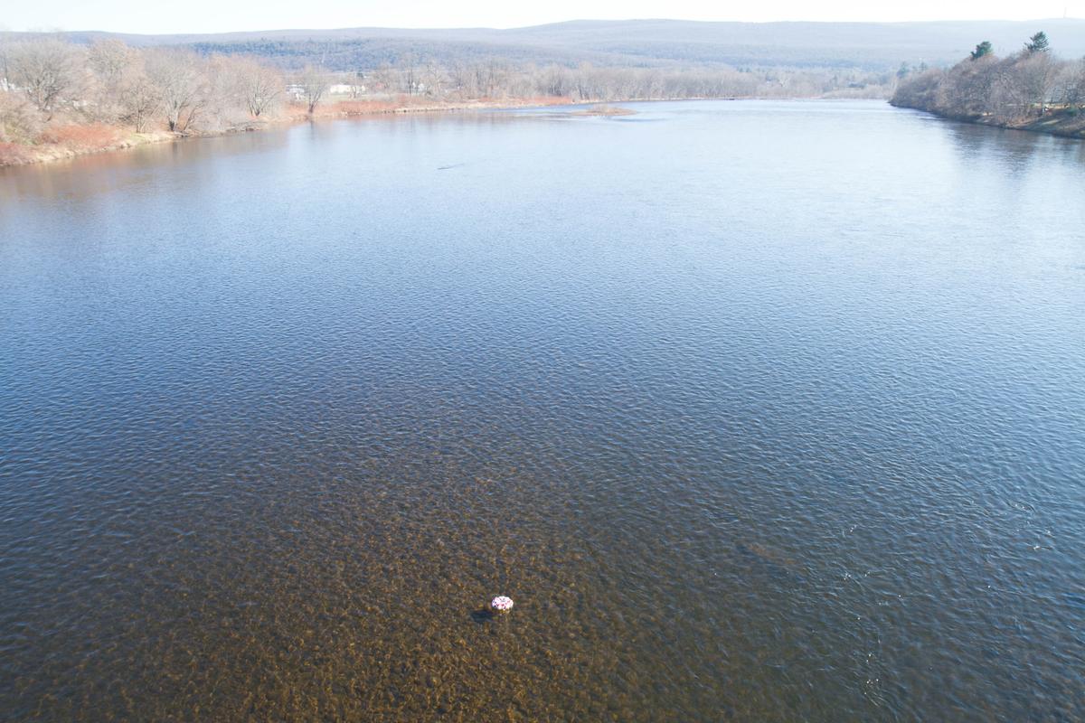 Tri-State Veterans Drop Wreath for Pearl Harbor Day