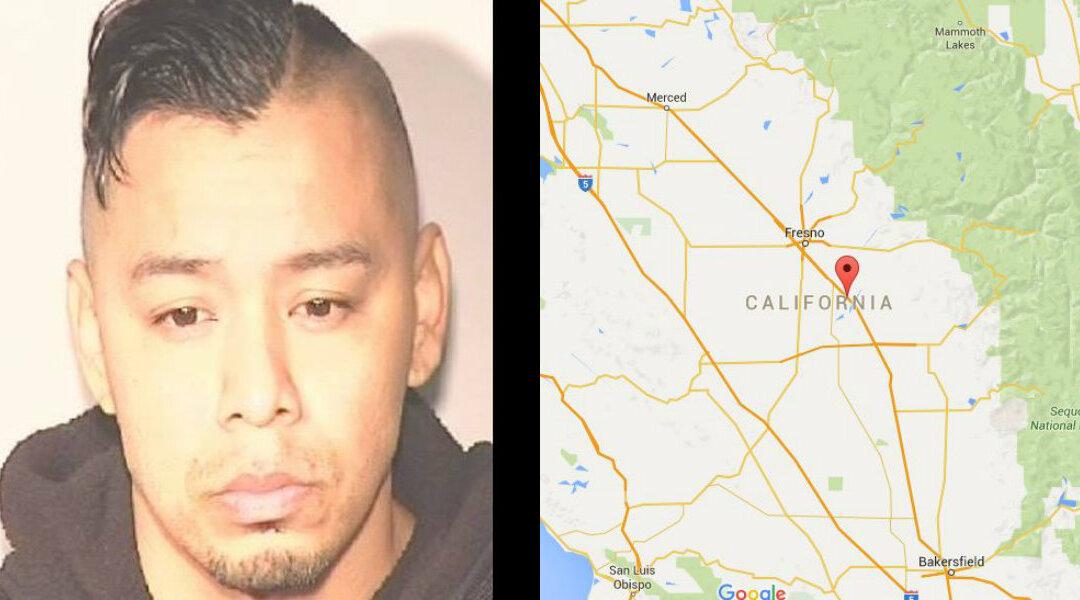 MMA Fighter Fidel Manzano Jr. Accused of Beating Puppy for Two Hours Straight