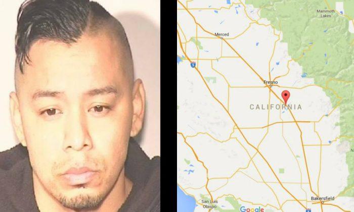 MMA Fighter Fidel Manzano Jr. Accused of Beating Puppy for Two Hours Straight