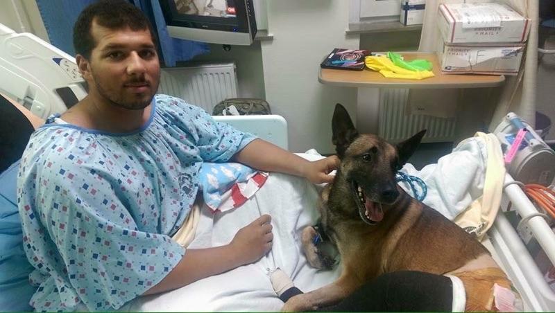 Viral Photos: Military Dog With Purple Heart Recovers With Handler in Hospital