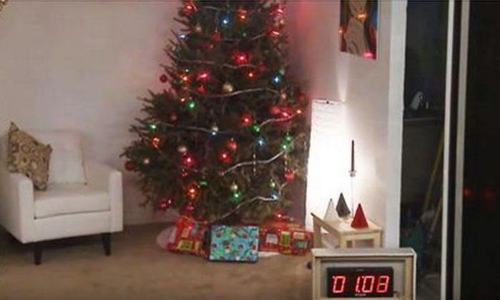 Time Ticks as Camera Films This Christmas Tree. 7 Seconds Later, It’s Tragic