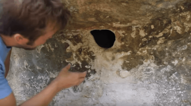 Viral Video: Man Pulls Clump of Arachnids out of Hole in Rock as Children Scream