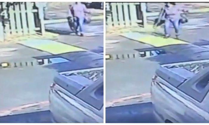 Surveillance Footage From Fairfield, California Appears to Show Woman Hurling Dog