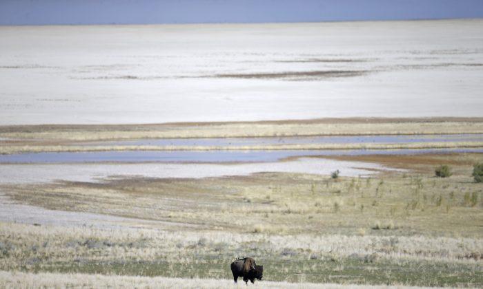 Northern Part of Great Salt Lake Hits Historic Low Level
