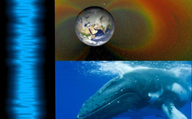 Sounds in Space Resemble Humpback Whales: Listen Here