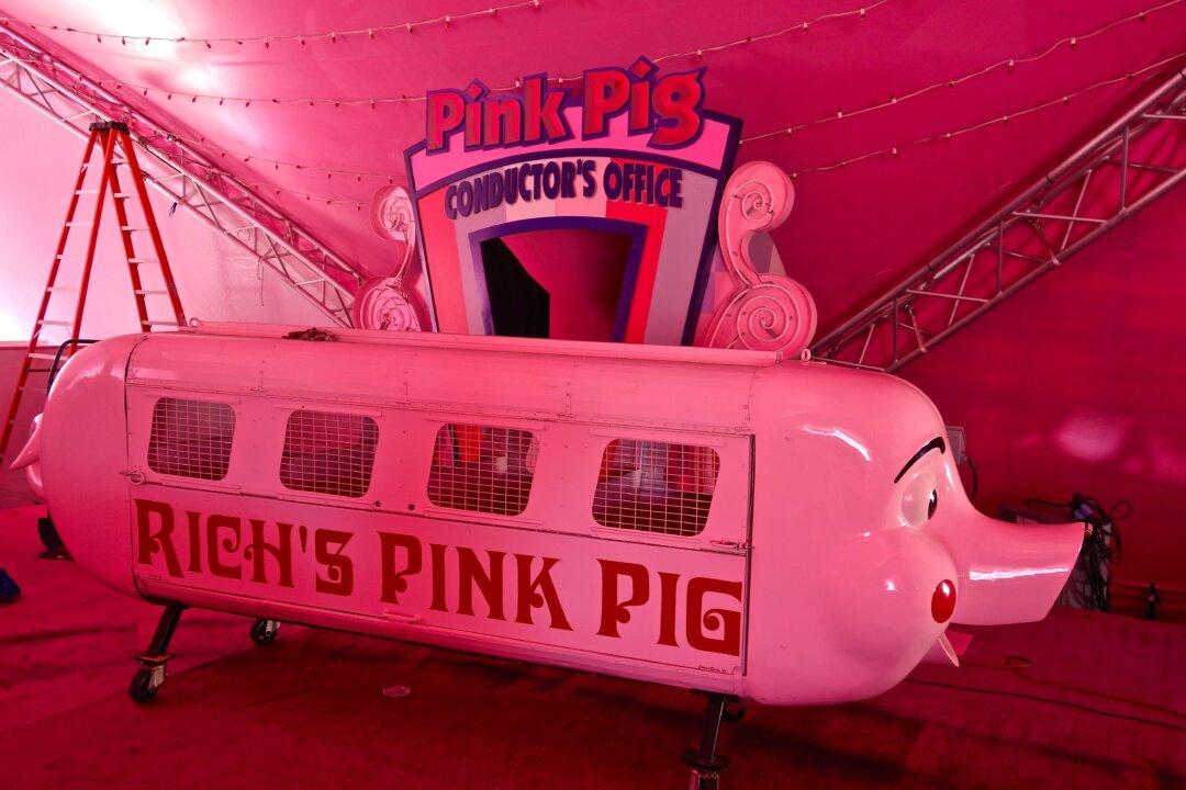 Keep the Pink Pig Flying