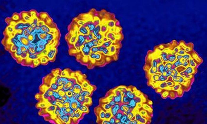 Some Exposed to Hepatitis C at Hospital Have Caught Disease