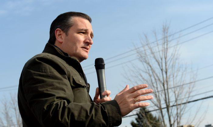 Cruz Joined Fight for Gun Rights as Political Fortunes Rose