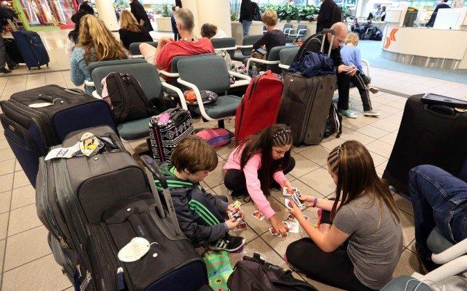 Senators Ask Airlines to Drop Baggage Fees for Summer, Hope to Reduce Wait Times