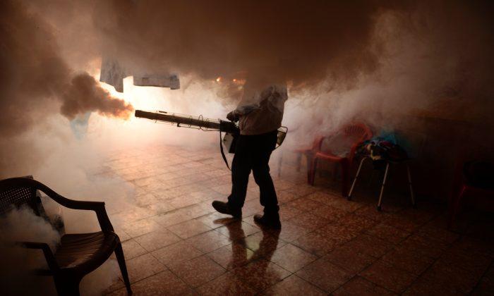 El Salvador Tells Women Not to Get Pregnant Until 2018 Due to ‘Zika’ Virus