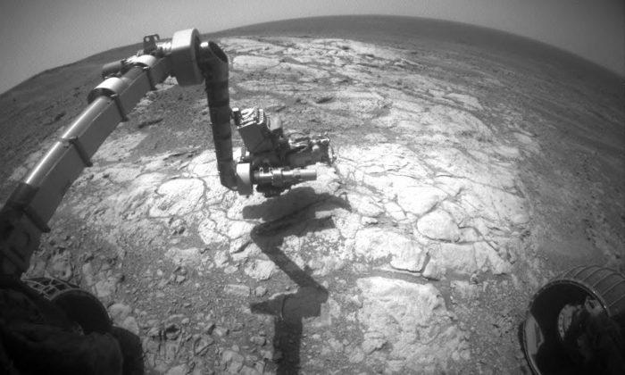 ‘Monkey’ Spotted Sitting Atop Rocks on Mars