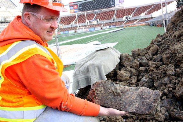Oregon State University Workers Stumble Across 10,000-Year-Old Mammoth Bones Underneath Football Stadium