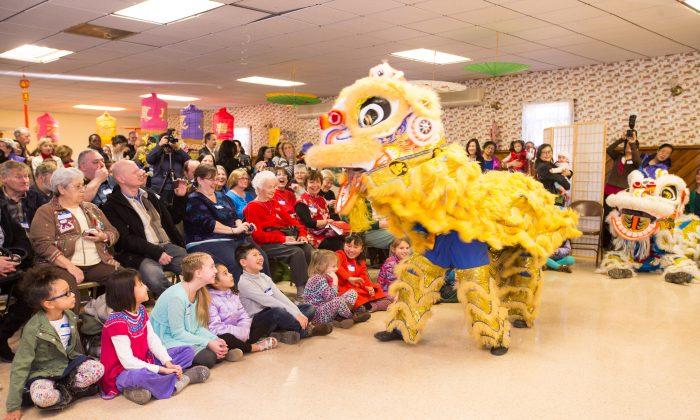 Photo Gallery: Chinese New Year in Deerpark