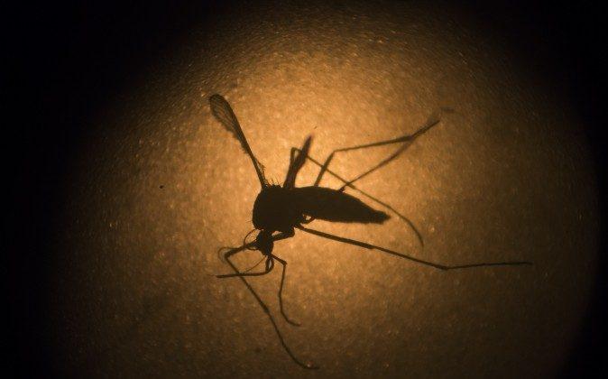 Sexually-Transmitted Zika Case Confirmed in Texas