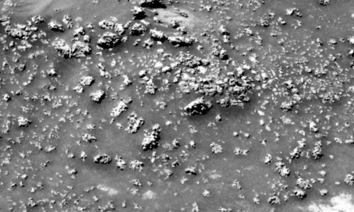 Mars Spirit Rover: Silica Formation Could Hint at Alien Life, Astronomers Say