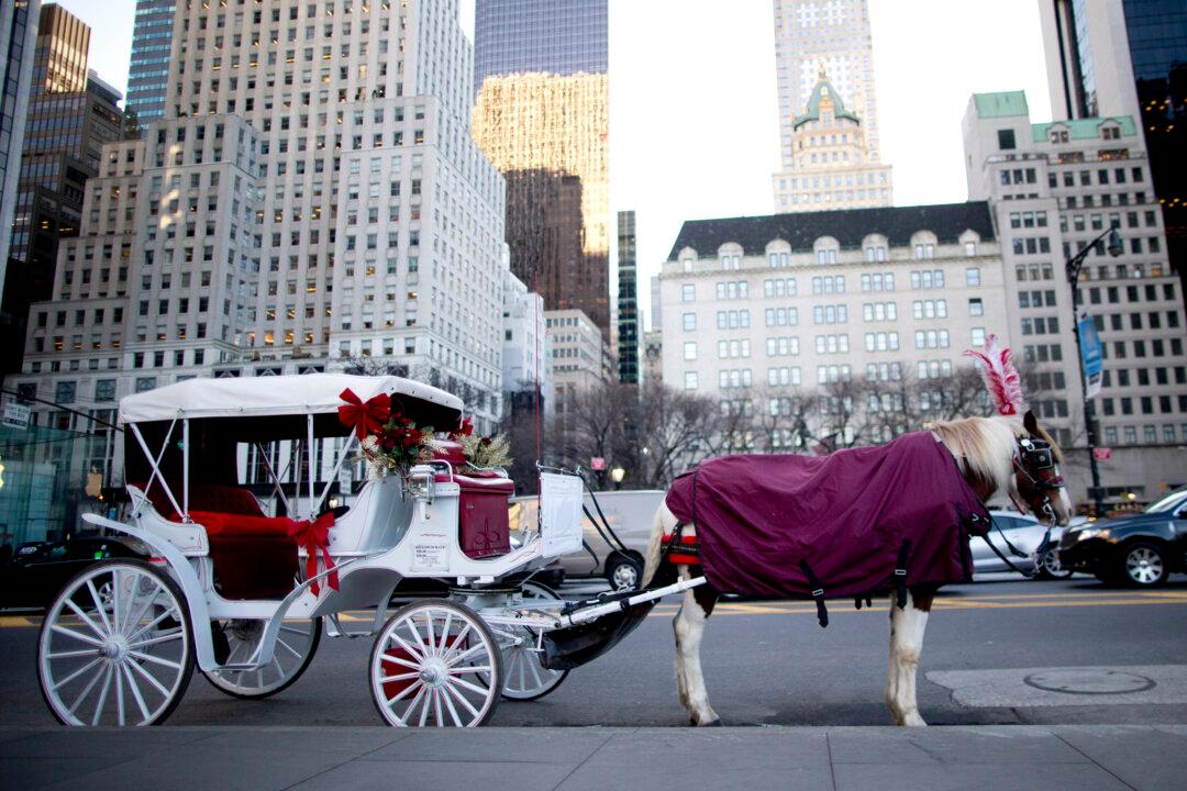Things to Do Around NYC: October 14–20