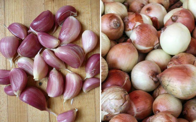 Onions and Garlic Are Anti-Cancer Foods