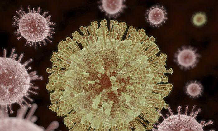 CDC: 14 More US Reports of Possible Zika Spread Through Sex
