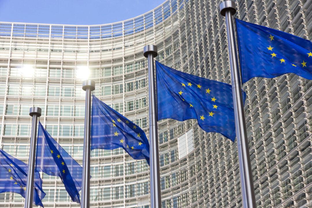 European Politicians Urge EU to Back Taiwan’s Participation in WHO