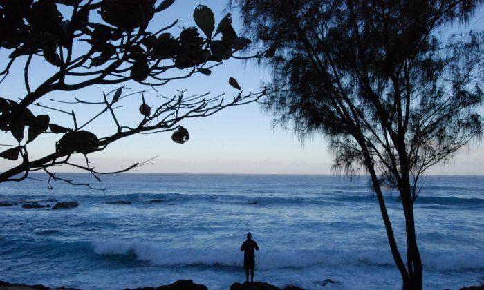 Hawaii’s Big-Wave Surf Competition Called Off