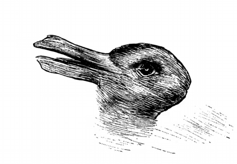 A Century-Old Rabbit or Duck Drawing Goes Viral (Video)
