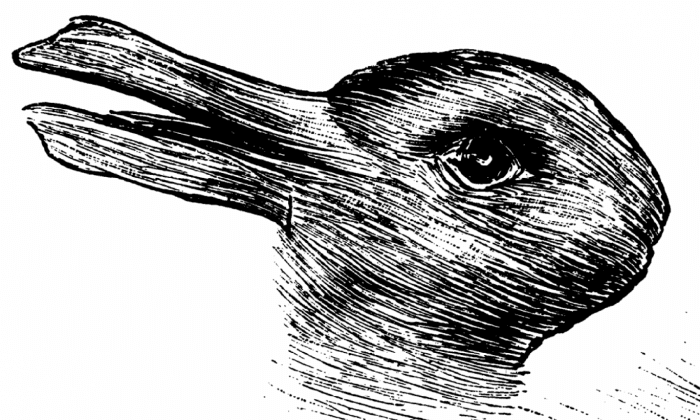 Do You See a Rabbit or a Duck in This Drawing From 1892?