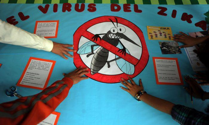 UN: Genetically Modified Mosquito Needed to Fight the Zika Virus