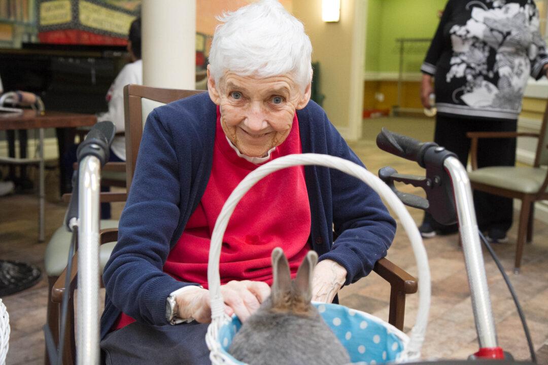 Rescued Rabbits Become Therapy Bunnies