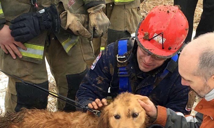 Dog Rescued From 14-Foot-Deep Sinkhole After 2 Nights Inside
