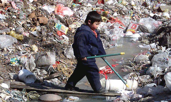 Environmental Degradation Takes a Heavy Toll on Women and Children’s Health