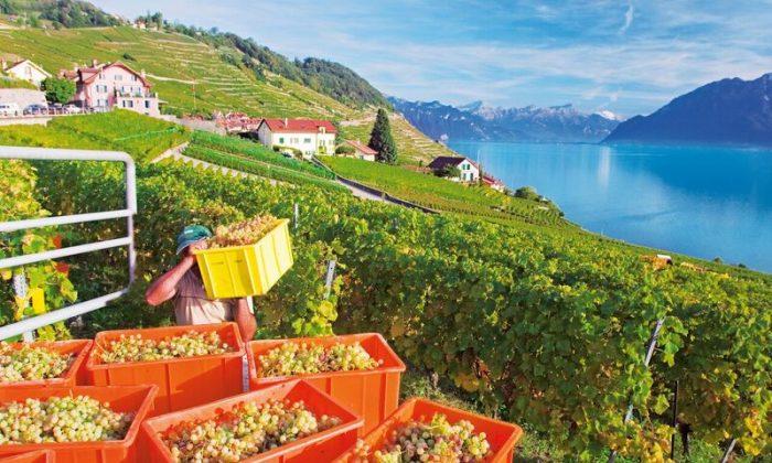 Welcome to Switzerland: Be Dazzled by Geneva—Europe’s Finest City