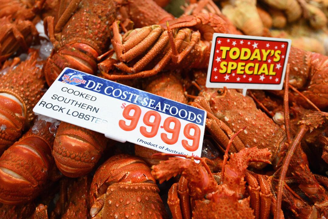 New York Bill Would Ban Food Stamps for Steak and Lobster