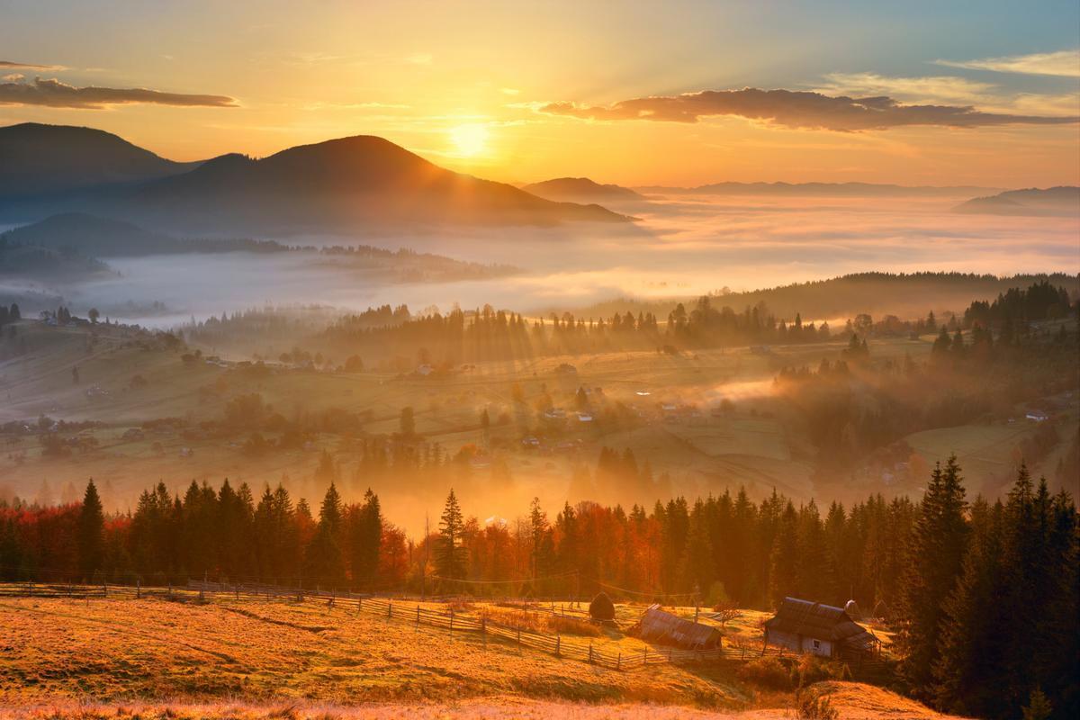 5 Tips to Digitally Detox